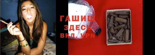 шишки Абаза
