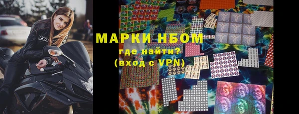шишки Абаза