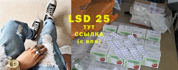 шишки Абаза