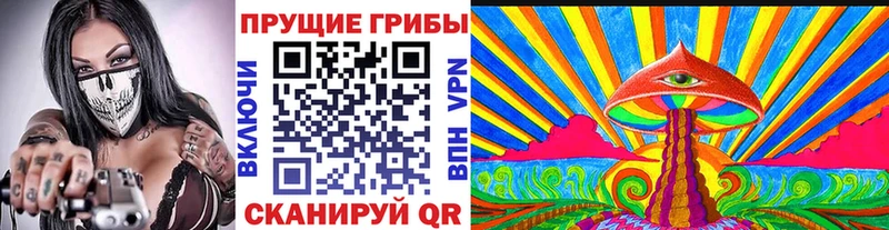 где купить наркоту Назрань OMG как войти Галлюциногенные грибы прущие грибы